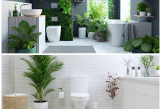 Tanpa Sinar Matahari Langsung, 5 Tanaman Ini Ampuh Jaga Kamar Mandi Tetap Hijau dan Sehat