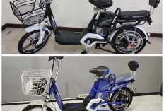 Anti Ribet ke Pasar! Richey Comfort Hadir dengan Baterai Graphene, Nyaman dan Hemat Dipakai