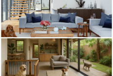 Hunian Pet-Friendly: Inspirasi Desain Rumah yang Nyaman dan Aman untuk Hewan Peliharaan