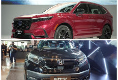Honda CR-V Menjadi Primadona SUV di Marketplace! Ini Alasan Banyak Pembeli Mengincarnya
