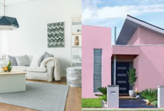 Warna Cat Rumah yang Tidak Menyerap Panas, Bikin Hunian Lebih Sejuk!