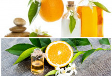 Neroli Oil: Minyak Esensial dari Bunga Citrus Aurantium dengan Segudang Manfaat untuk Kecantikan dan Kesehatan