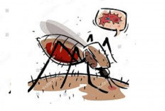 Sumsel Nol Penularan Lokal Malaria Sejak 2025