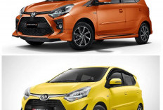 Mobil LCGC 2026 Masih Jadi Buruan! Ini Alasan Mobil Murah Tetap Laris Meski Tren Mobil Listrik Meningkat!