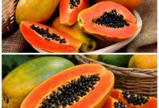 Rahasia Buah Pepaya untuk Menjaga Tubuh Tetap Sehat dan Bugar!