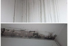 Solusi Praktis! 5 Cara Mengatasi Dinding Rembes Air Tanpa Bongkar Besar yang Paling Efektif