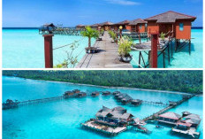 Pesona Pulau Maratua, Surga Tropis di Kalimantan Timur dengan Laut Biru yang Memikat