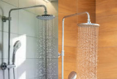 Model Shower Kamar Mandi Fungsional untuk Hunian Modern!