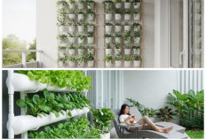 Rahasia Taman Vertikal Modern 2026 yang Bikin Teras Rumah Minimalis Jauh Lebih Sejuk dan Estetik!