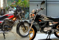 Pesona RX-King Cobra Bikin Kolektor Rela Menguras Kantong: Rahasia Blok Y-1 dan Part Langka Kuncinya!