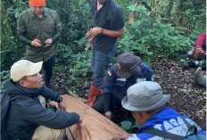 Begini Kronologi Pendaki Asal Palembang Hilang di Gunung Dempo