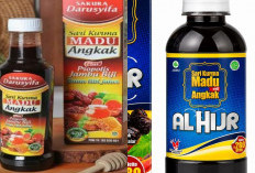 Madu Angkak untuk DBD: Benarkah Bermanfaat bagi Kesehatan?