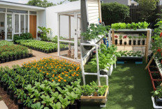 Kebun Belakang Rumah Jadi Lebih Hidup, Ini Inspirasi Desainnya yang Lagi Tren!