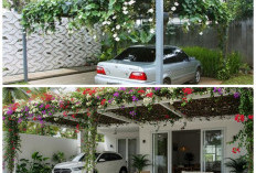 Carport Hijau: Inspirasi Memadukan Area Parkir dengan Tanaman Rambat Tropis