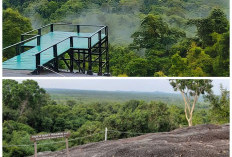 Bukit Peramun dan Kisah Masa Lalunya, Dari Hutan Ramuan Leluhur Menjadi Wisata Edukasi Digital!