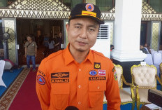 Daerah Rawan Karhutla di Sumsel Diminta Segera Tetapkan Status Siaga