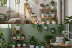 8 Ide Rak Tanaman Kreatif untuk Sulap Teras 2x1 Meter Jadi Oase Hijau yang Estetik