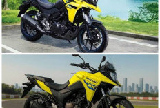 Suzuki V-Strom SX 250 Tampil Lebih Segar, Pilihan Warna Baru Bikin Aura Petualang Makin Kuat