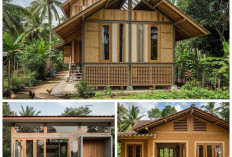 8 Desain Rumah 4x8 Meter di Desa yang Sederhana tapi Estetik, Hemat Biaya dan Ramah Lingkungan!