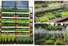 Anti Ribet! Ini 8 Ide Kebun Sayur Low Budget yang Bisa Dibuat di Lahan Terbatas