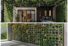 Teras dan Carport Asri: Ide Menanam Tanaman Rambat untuk Nuansa Tropis di Depan Rumah