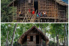  Rumah Mod Aki Aksa Papua Barat: Bangunan Kaki Seribu yang Menarik dan Sarat dengan Makna Budaya