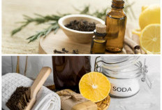 Rahasia Ruang Tamu Selalu Wangi Semerbak Hotel Mewah Hanya dengan Bahan Dapur!