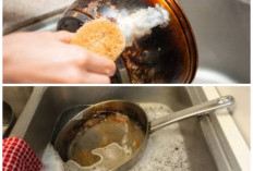 Tanpa Gosok Kasar! Ini Tips Membersihkan Bagian Bawah Panci dengan Metode Lembut ala Ahli Dapur