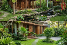 6 Kombinasi Batu Kali dan Rumput Jepang, Bikin Taman Rumah Terasa Lebih Alami dan Tenang