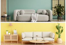 Interior Makin Berkarakter! Color Capping Jadi Teknik Pengecatan Favorit Rumah 2026