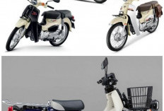 Honda Super Cub 110 Pro Meluncur dengan Konsep Bebek Niaga, Apa Saja Keunggulannya Dibanding Model Reguler?