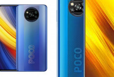 Review POCO X3 NFC, HP Gaming Murah dengan Layar 120Hz dan Snapdragon 732G!