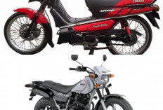 Yamaha Alfa 1989, Motor Lawas yang Masih Bernilai Tinggi