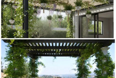 Halaman Adem dan Estetik! 8 Model Pergola Minimalis dengan Tanaman Rambat yang Menyejukkan Rumah