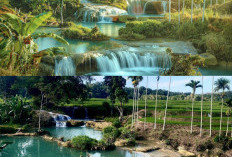 Air Terjun Waikacura: Keajaiban Alam Sumba Barat Daya, Surga Tersembunyi dengan Kolam Alami Berair Jernih