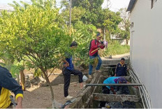 Antisipasi Banjir, Camat dan Lurah Gotong Royong Bersihkan Drainase Talang Jengkol