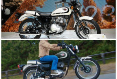 Resmi Meluncur! Kawasaki W230 Hadir dengan Gaya Retro Klasik dan Mesin 233 cc
