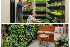 10 Cara Menata Teras Rumah Sempit di Perumahan Subsidi dengan Kebun Vertikal Minimalis!