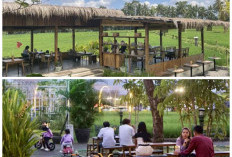 10 Desain Cafe Pinggir Sawah Paling Hits 2026: Perpaduan Gaya Modern dan Nuansa Alam yang Menenangkan