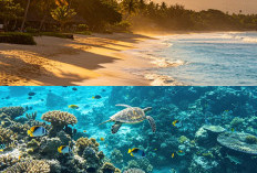 10 Destinasi Wisata Alam Indonesia yang Mendunia, Nomor 7 Masih Jarang Diketahui Wisatawan
