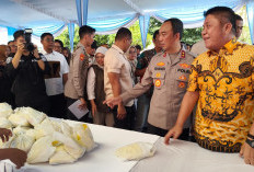 Gubernur Apresiasi Gerakan Pangan Murah Jaga Stabilitas Harga di Sumsel