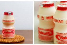 10 Manfaat Yakult untuk Kesehatan Tubuh