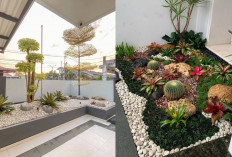 Desain Taman Kering Outdoor Minimalis yang Estetik dan Mudah Dirawat!