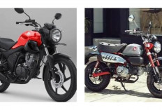 Bisa Jadi Rebutan! Honda Rilis ADV160 Edisi Spider-Man Cuma 300 Unit di Dunia, Intip Bonus Mewahnya