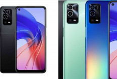 Review OPPO A55, HP OPPO dengan Kamera 50 MP dan Baterai 5.000 mAh Desain dan Layar!