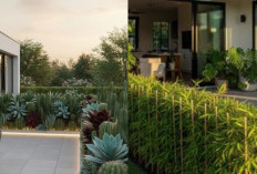 Konsep Teras Rumah Alami dengan Pagar Tanaman Hidup di Tahun 2026!