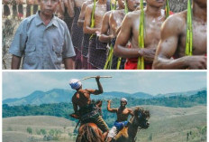 Nyesel Baru Tahu! Ternyata Ini Makna di Balik Tradisi Ekstrem yang Masih Lestari di NTT