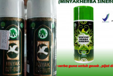 Mengenal Minyak But But: Kandungan, Khasiat, dan Cara Menggunakannya dengan Tepat