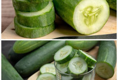 Inilah Khasiat Luar Biasa Timun untuk Kesehatan Tubuh yang Jarang Disadari