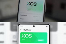 HP Infinix Sering Lag dan Bug? Ini Cara Mudah Mengatasi Masalah Sistem XOS Tanpa Ribet!